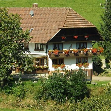 شقة Oberprechtal  في شوسيلهوف المظهر الخارجي الصورة