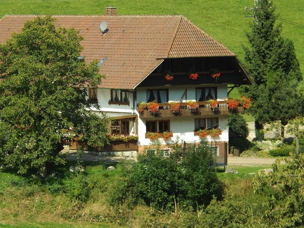 شقة Oberprechtal  في شوسيلهوف المظهر الخارجي الصورة